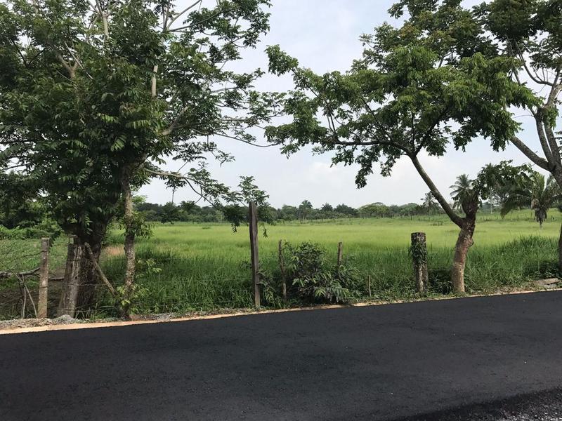 Terreno en Venta, Carretera Barrancas- Tereftalatos, Cosoleacaque, Ver