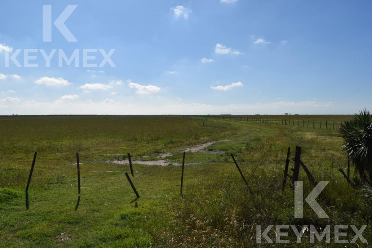 Campo mixto - Ganadero agrícola - FINANCIACIÓN - Rufino