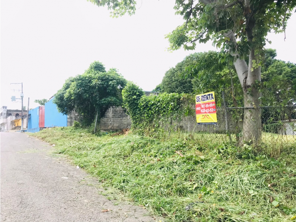 terreno en renta en Huixtla,Chiapas.