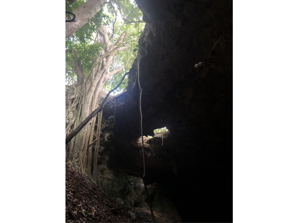 Cenotes en venta en Yalcobá