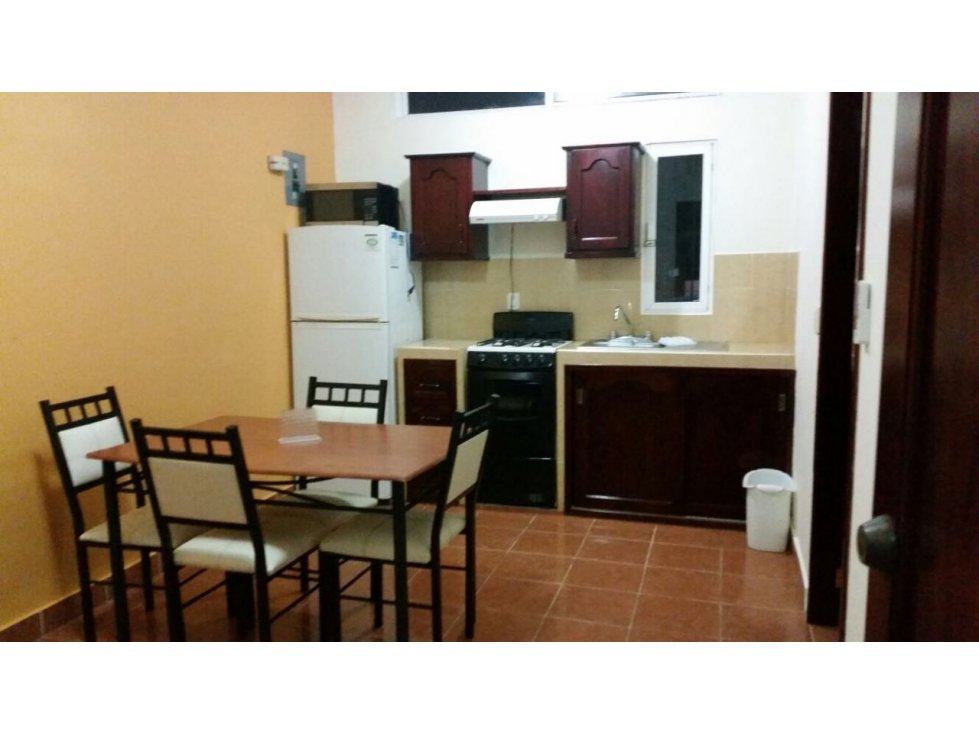 DEPARTAMENTO DE AMUEBLADO, 35A, CARMEN