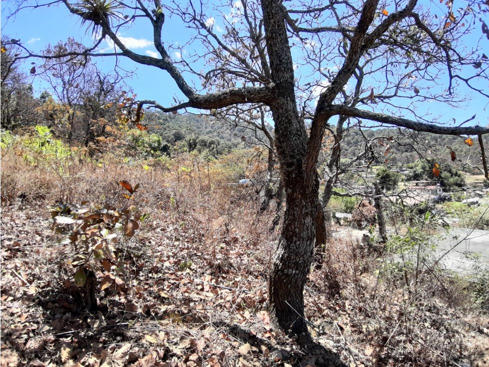 TERRENO PARA PROYECTO EN EL CERRILLO