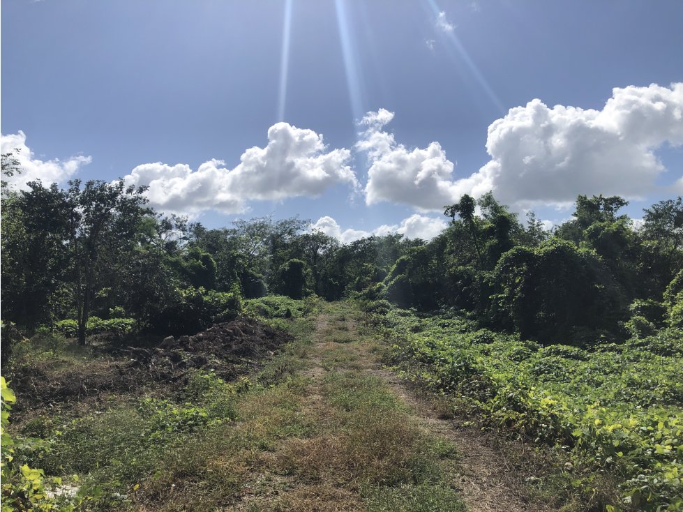 Terreno en Yalcón en venta