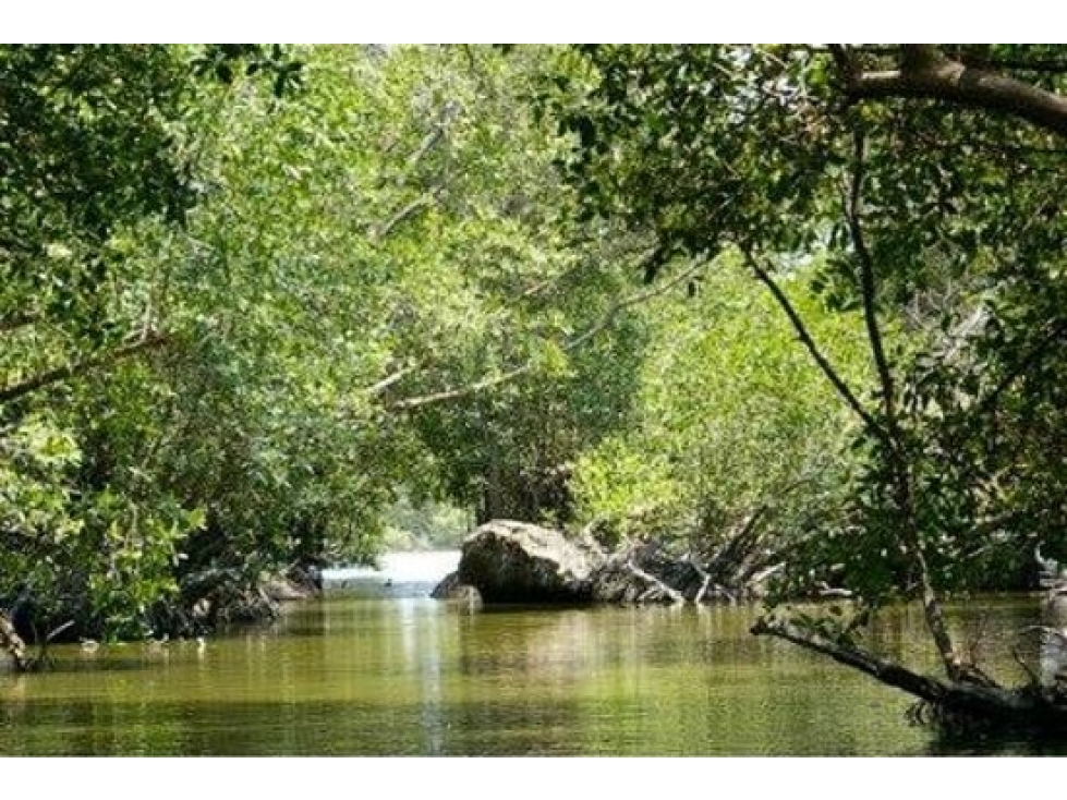 VENTA TERRENO CON LAGUNA BARRA VIEJA