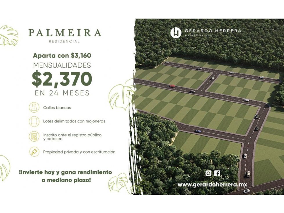 PALMEIRA RESIDENCIAL | BACA