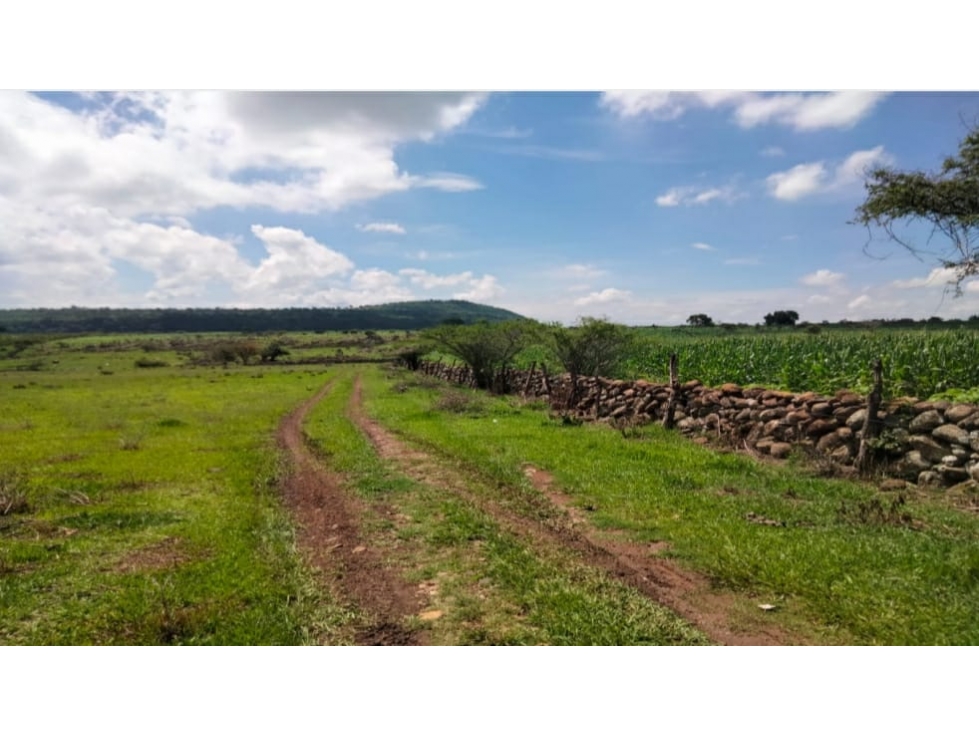 VENTA DE 83.5 HECTÁREAS DE TERRENO EN ATENGO, JALISCO