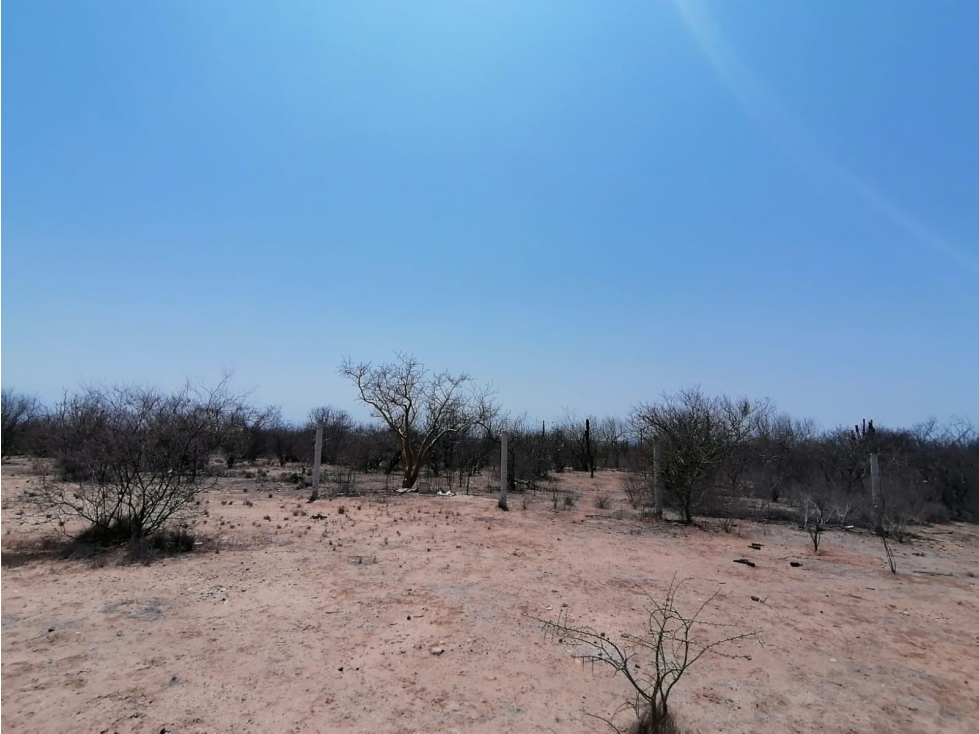 Se Vende Terreno en Fracc. Campestre Lomas del Cardon en La Paz BCS