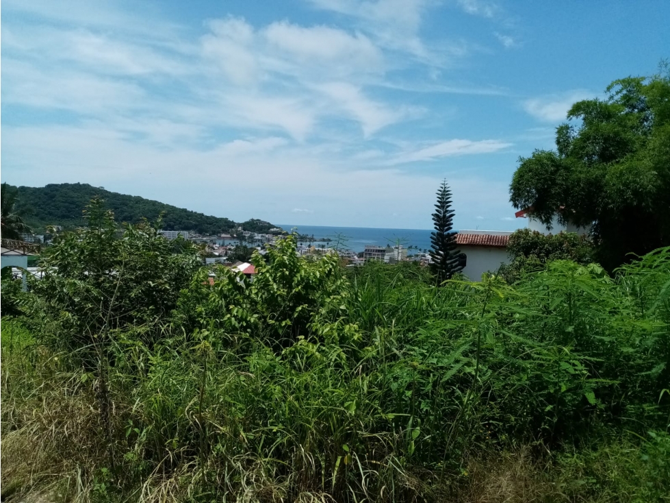 GRAN PPORTUNIDAD DE TERRENO EN GUAYABITOS