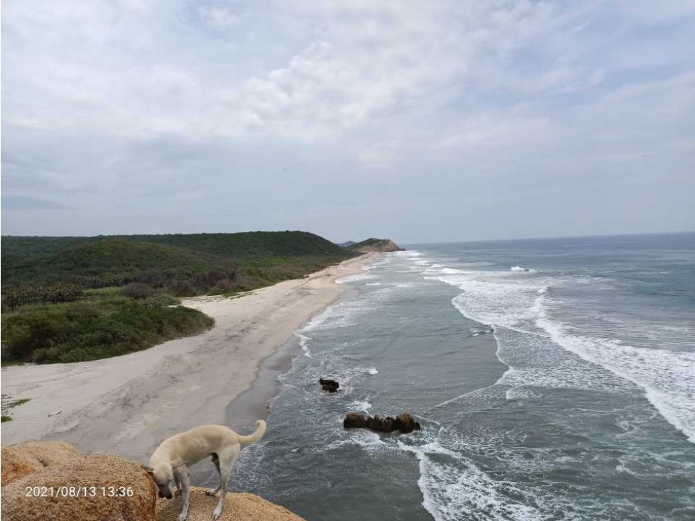 Playa Bamba /500 hectáreas/ propiedad con escrituras