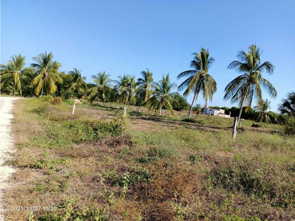 TOMATAL LA PAROTA /1000 M² / ZONA TURÍSTICA