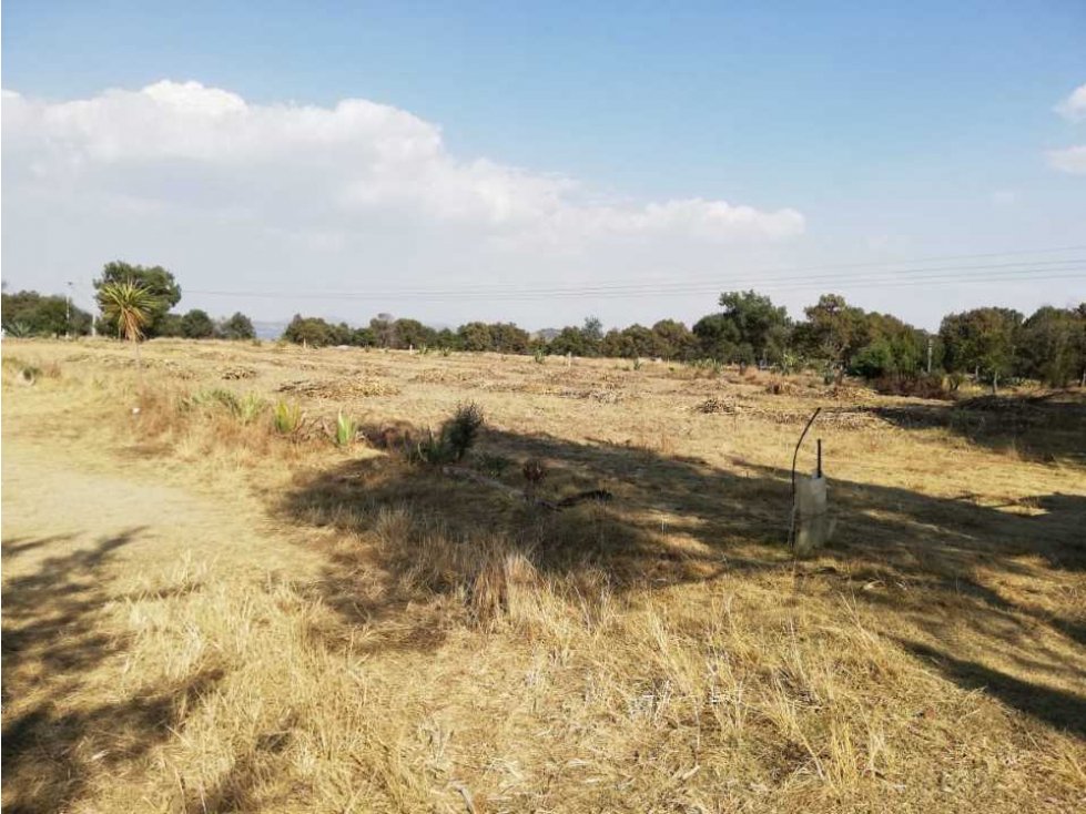 VENTA TERRENO EN TOPILCO DE JUÁREZ XALTOCAN