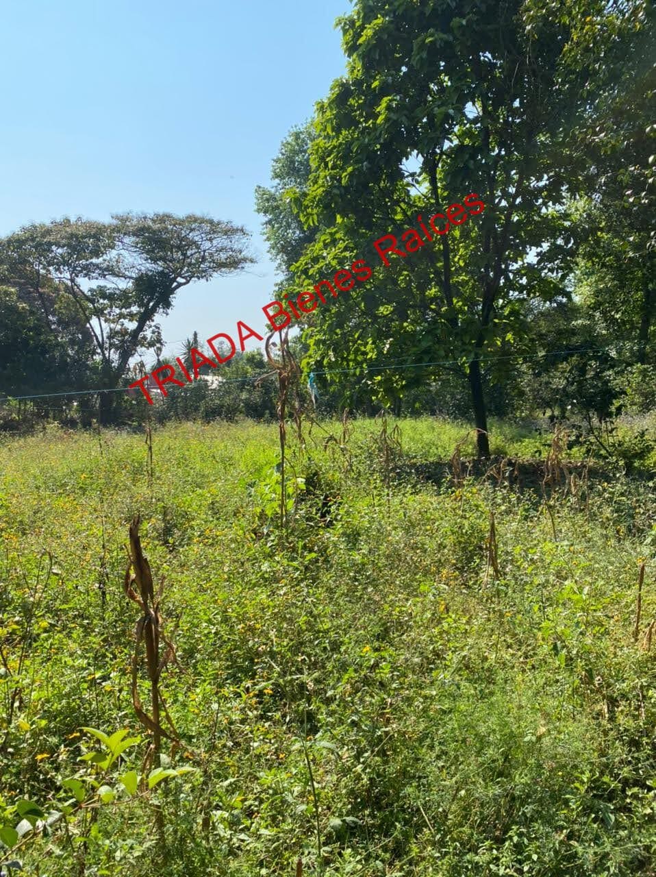 HERMOSO TERRENO CAMPESTRE EN XICO, VERACRUZ