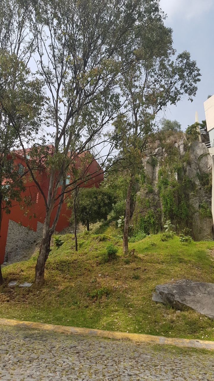 TERRENO EN VENTA PEDREGAL DE ECHEGARAY, NAUCALPAN