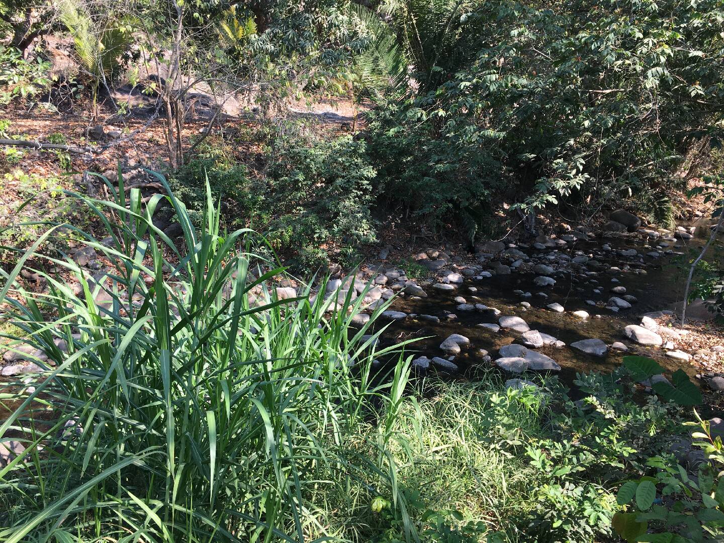 Tu paraíso en Aticama, Nayarit