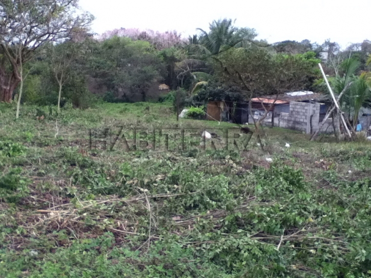 TERRENO EN VENTA EN MONTE GRANDE, TUXPAN VER.